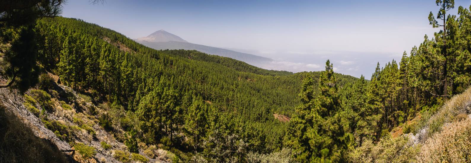 Photo - Îles Canaries - Iles Canaries #22